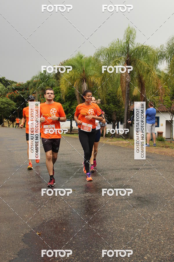 Buy your photos of the event3� Corrida Pernas de Aluguel 10K on Fotop