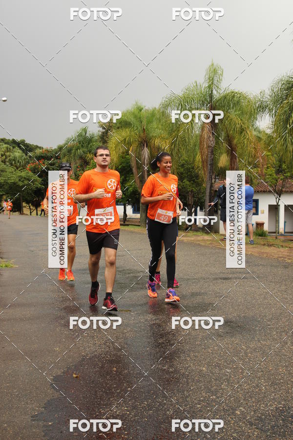 Buy your photos of the event3� Corrida Pernas de Aluguel 10K on Fotop