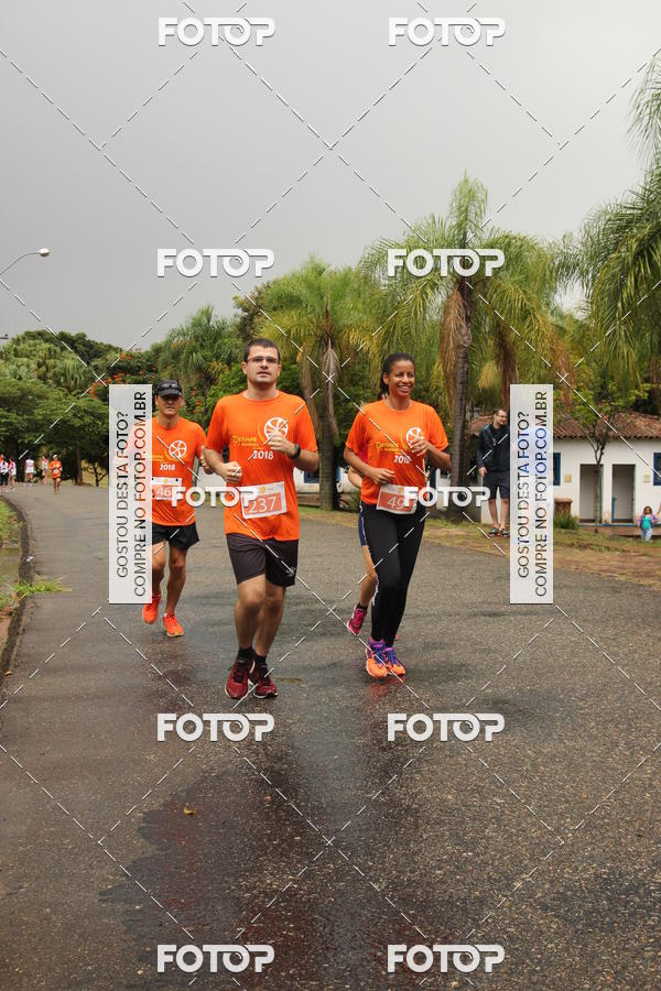 Buy your photos of the event3� Corrida Pernas de Aluguel 10K on Fotop