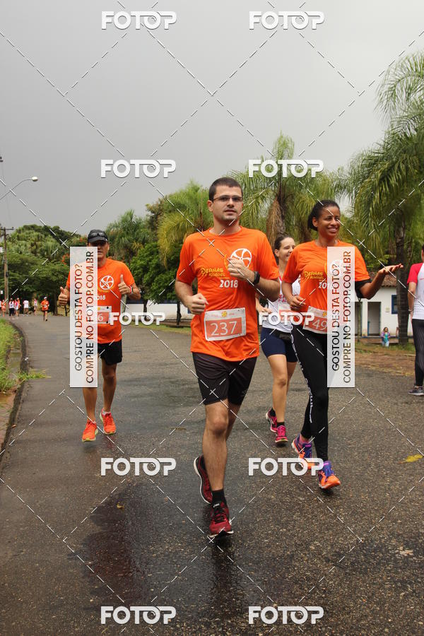 Buy your photos of the event3� Corrida Pernas de Aluguel 10K on Fotop