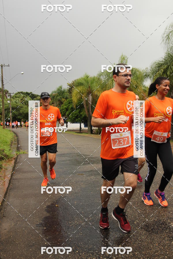 Buy your photos of the event3� Corrida Pernas de Aluguel 10K on Fotop