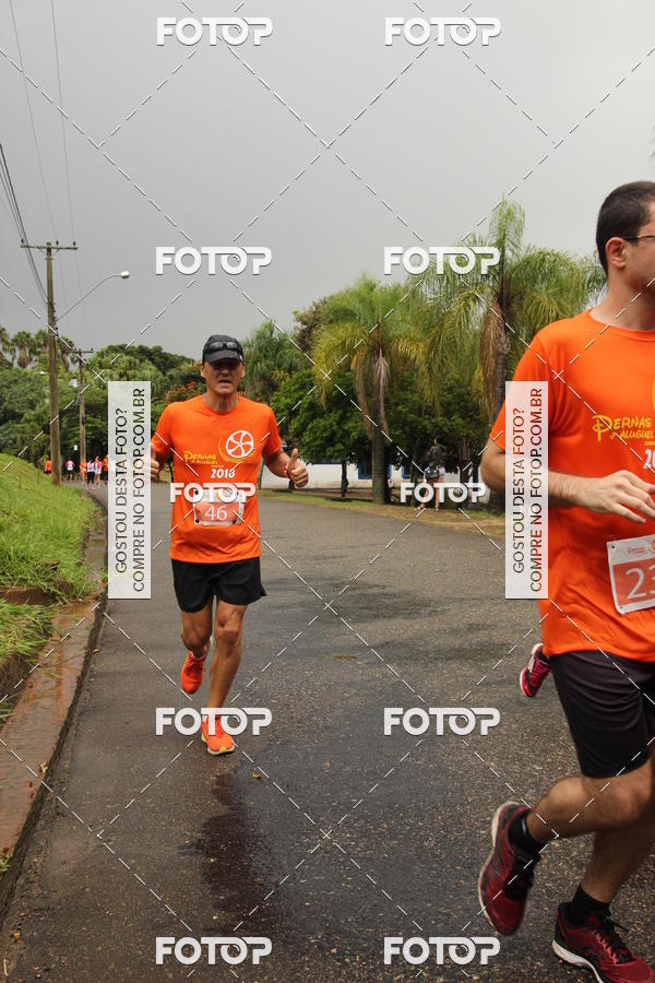 Buy your photos of the event3� Corrida Pernas de Aluguel 10K on Fotop