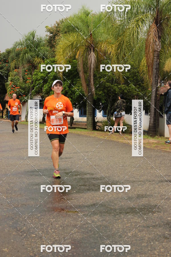 Buy your photos of the event3� Corrida Pernas de Aluguel 10K on Fotop