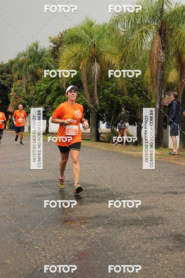 Buy your photos of the event3� Corrida Pernas de Aluguel 10K on Fotop