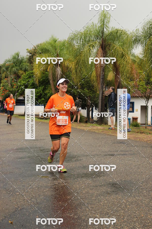 Buy your photos of the event3� Corrida Pernas de Aluguel 10K on Fotop