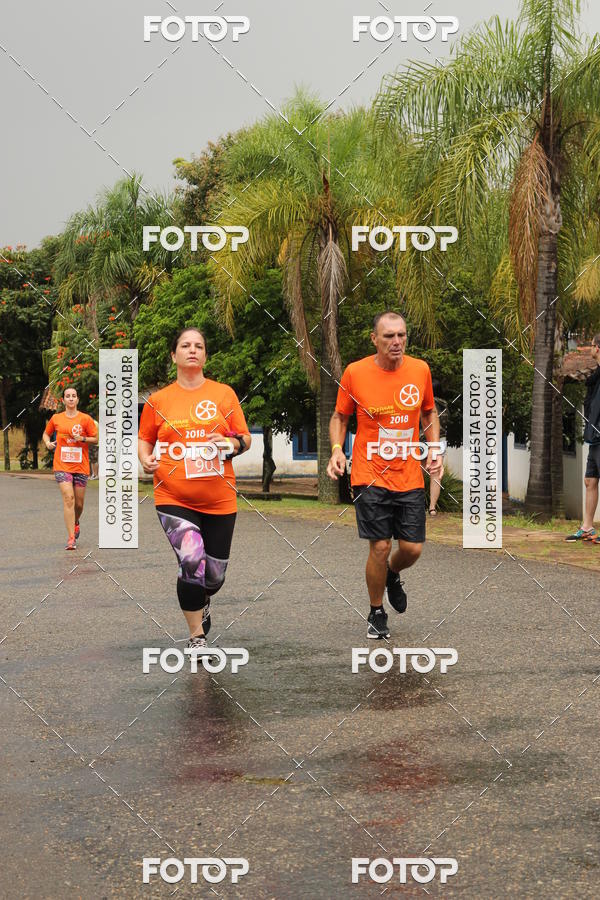 Buy your photos of the event3� Corrida Pernas de Aluguel 10K on Fotop