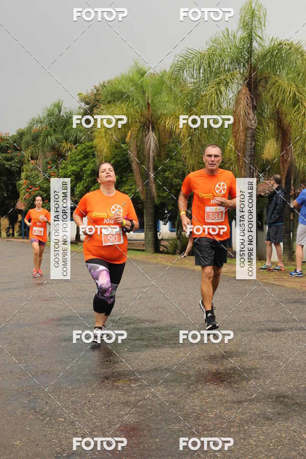 Buy your photos of the event3� Corrida Pernas de Aluguel 10K on Fotop