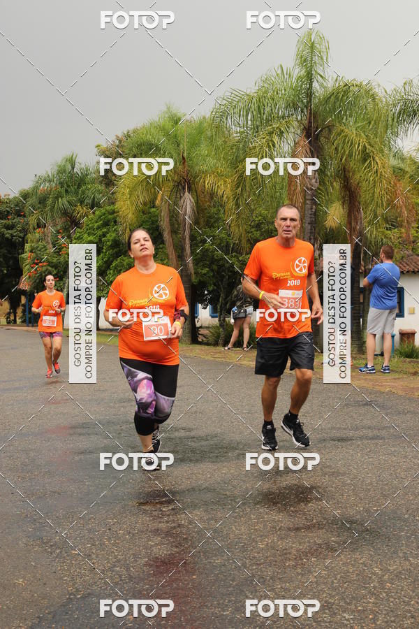 Buy your photos of the event3� Corrida Pernas de Aluguel 10K on Fotop