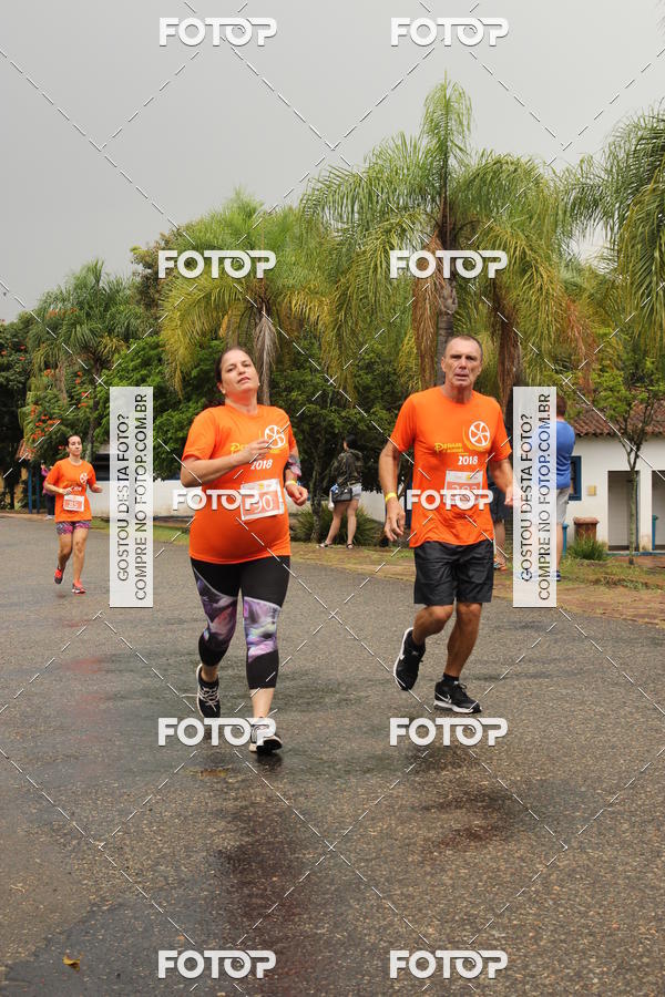 Buy your photos of the event3� Corrida Pernas de Aluguel 10K on Fotop