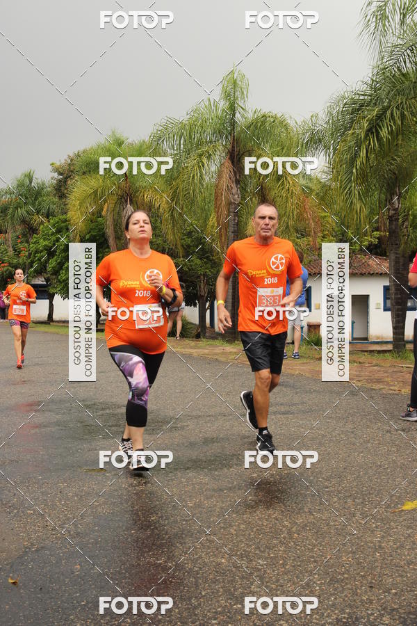 Buy your photos of the event3� Corrida Pernas de Aluguel 10K on Fotop