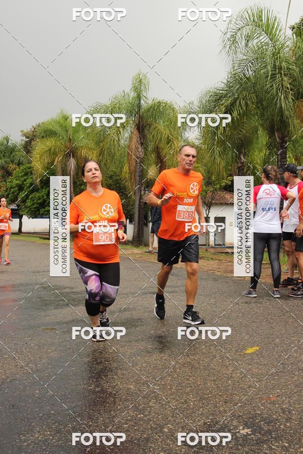 Buy your photos of the event3� Corrida Pernas de Aluguel 10K on Fotop