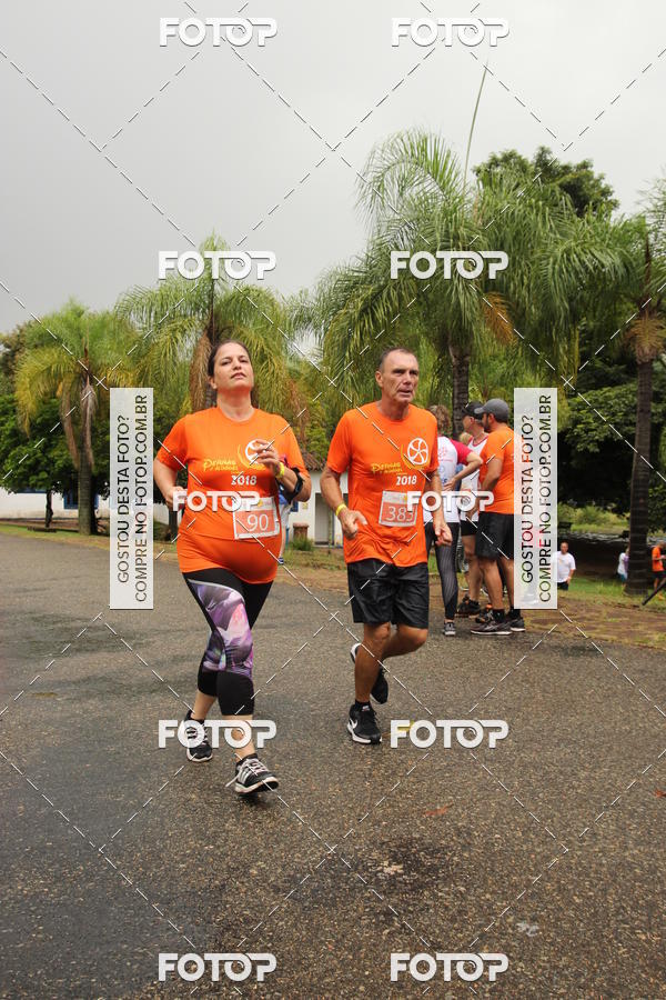 Buy your photos of the event3� Corrida Pernas de Aluguel 10K on Fotop