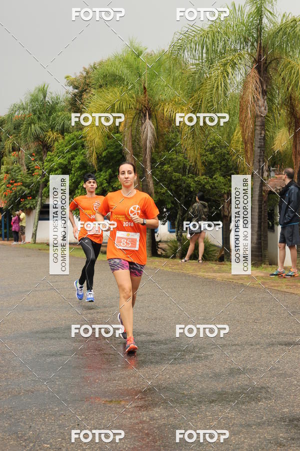 Buy your photos of the event3� Corrida Pernas de Aluguel 10K on Fotop