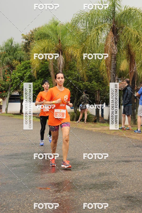 Buy your photos of the event3� Corrida Pernas de Aluguel 10K on Fotop
