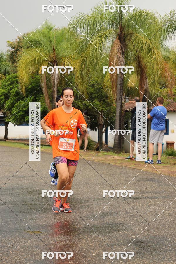Buy your photos of the event3� Corrida Pernas de Aluguel 10K on Fotop