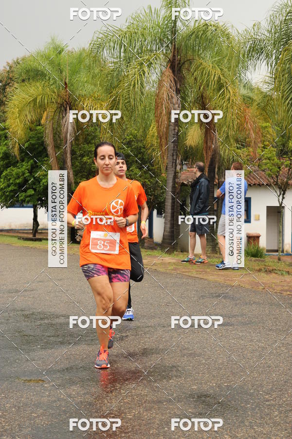 Buy your photos of the event3� Corrida Pernas de Aluguel 10K on Fotop