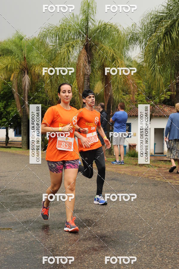 Buy your photos of the event3� Corrida Pernas de Aluguel 10K on Fotop