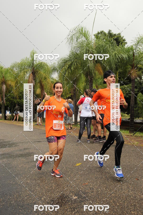 Buy your photos of the event3� Corrida Pernas de Aluguel 10K on Fotop
