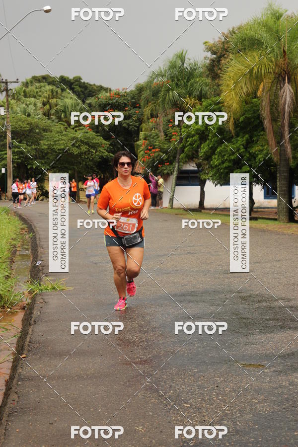Buy your photos of the event3� Corrida Pernas de Aluguel 10K on Fotop