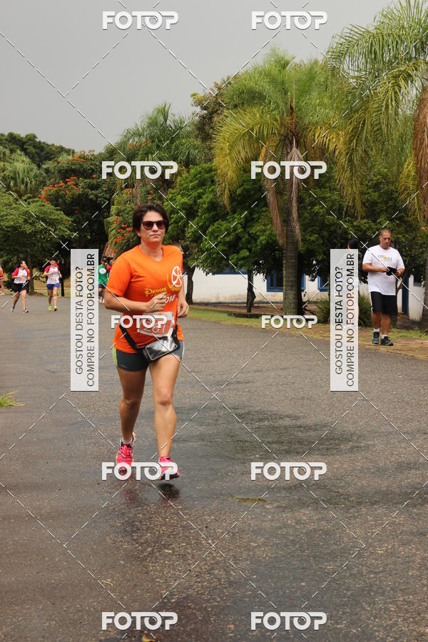 Buy your photos of the event3� Corrida Pernas de Aluguel 10K on Fotop