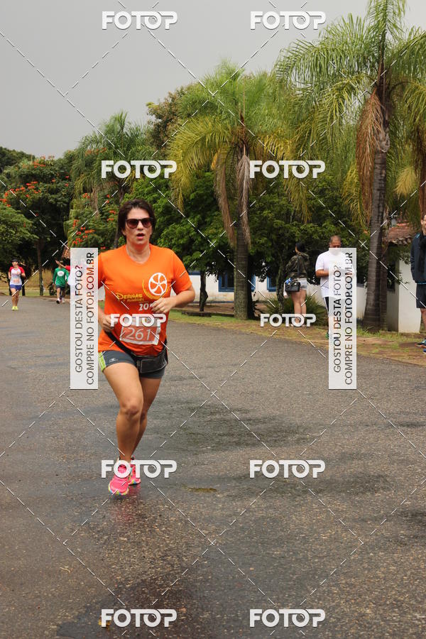 Buy your photos of the event3� Corrida Pernas de Aluguel 10K on Fotop