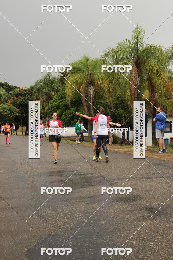 Buy your photos of the event3� Corrida Pernas de Aluguel 10K on Fotop