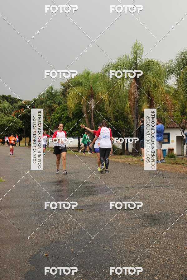 Buy your photos of the event3� Corrida Pernas de Aluguel 10K on Fotop