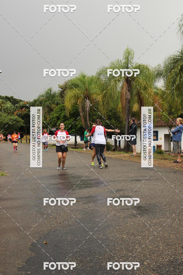 Buy your photos of the event3� Corrida Pernas de Aluguel 10K on Fotop