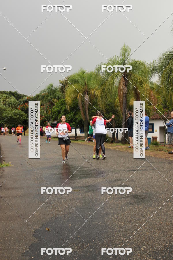 Buy your photos of the event3� Corrida Pernas de Aluguel 10K on Fotop