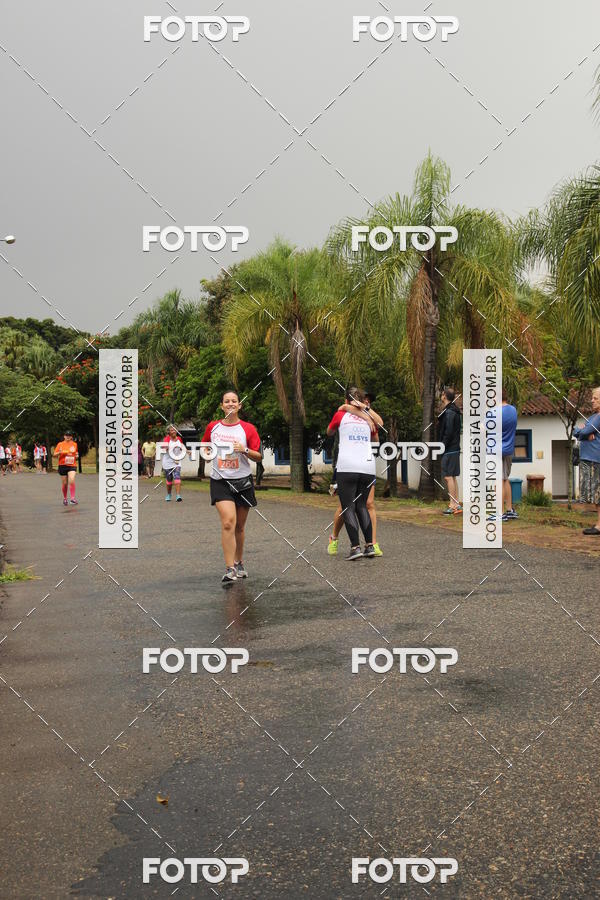 Buy your photos of the event3� Corrida Pernas de Aluguel 10K on Fotop