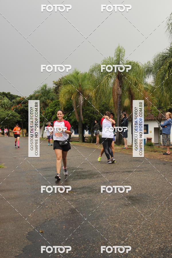Buy your photos of the event3� Corrida Pernas de Aluguel 10K on Fotop