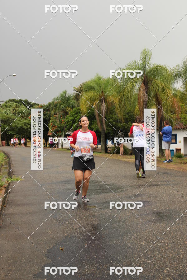Buy your photos of the event3� Corrida Pernas de Aluguel 10K on Fotop