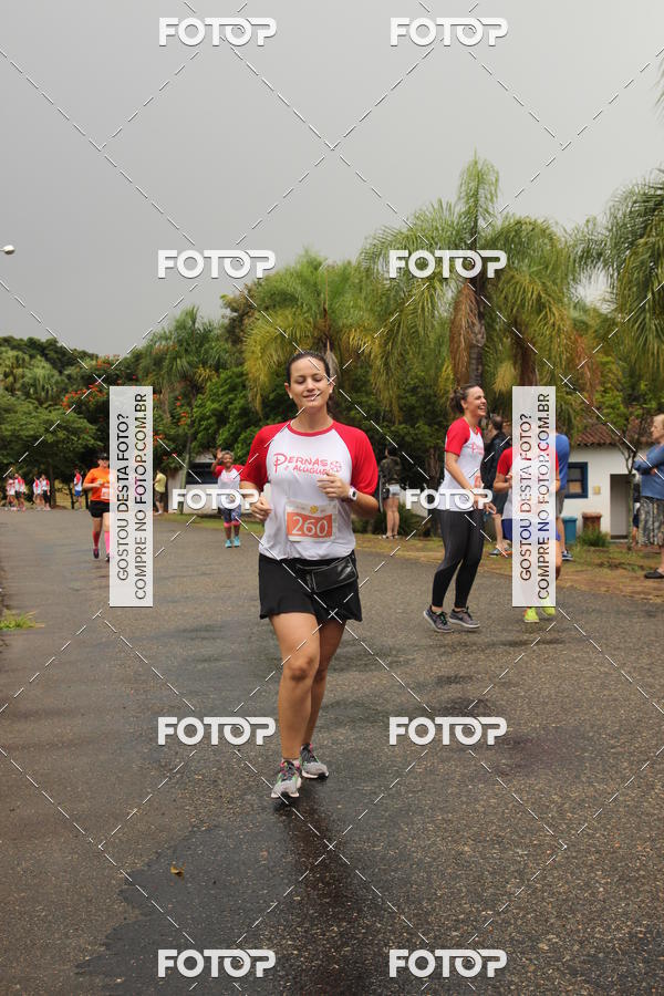 Buy your photos of the event3� Corrida Pernas de Aluguel 10K on Fotop
