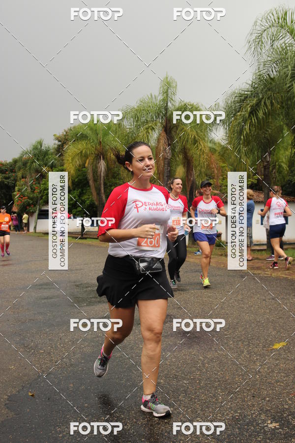 Buy your photos of the event3� Corrida Pernas de Aluguel 10K on Fotop