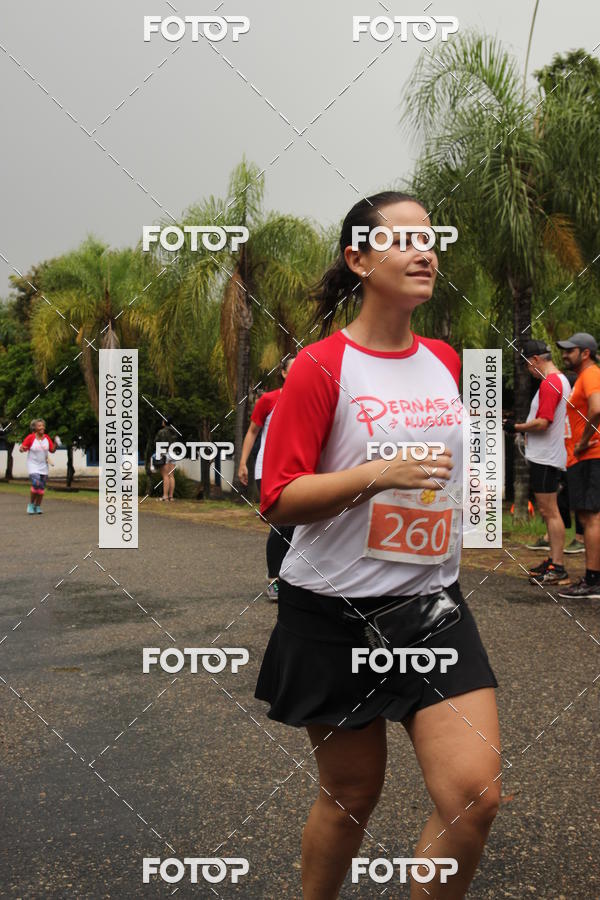 Buy your photos of the event3� Corrida Pernas de Aluguel 10K on Fotop