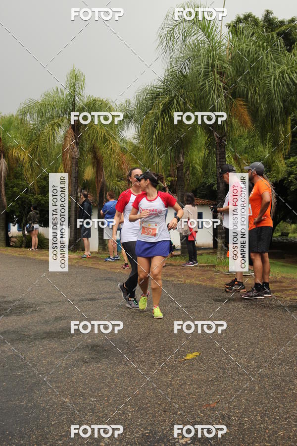 Buy your photos of the event3� Corrida Pernas de Aluguel 10K on Fotop