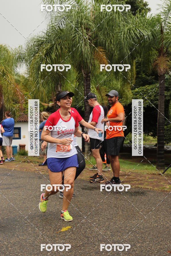 Buy your photos of the event3� Corrida Pernas de Aluguel 10K on Fotop