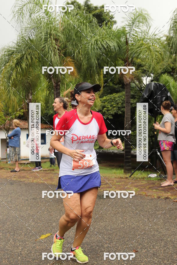 Buy your photos of the event3� Corrida Pernas de Aluguel 10K on Fotop