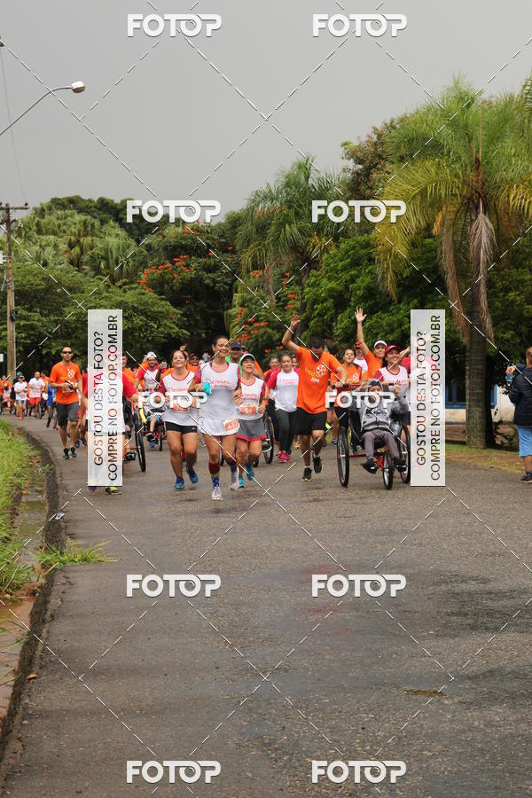 Buy your photos of the event3� Corrida Pernas de Aluguel 10K on Fotop