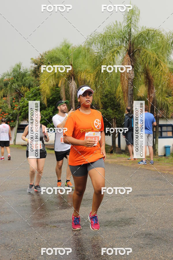 Buy your photos of the event3� Corrida Pernas de Aluguel 10K on Fotop