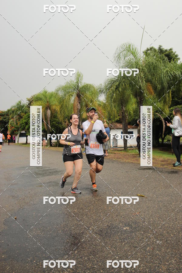 Buy your photos of the event3� Corrida Pernas de Aluguel 10K on Fotop