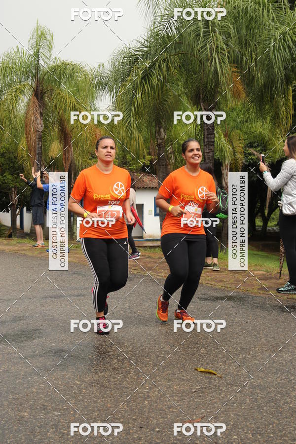 Buy your photos of the event3� Corrida Pernas de Aluguel 10K on Fotop