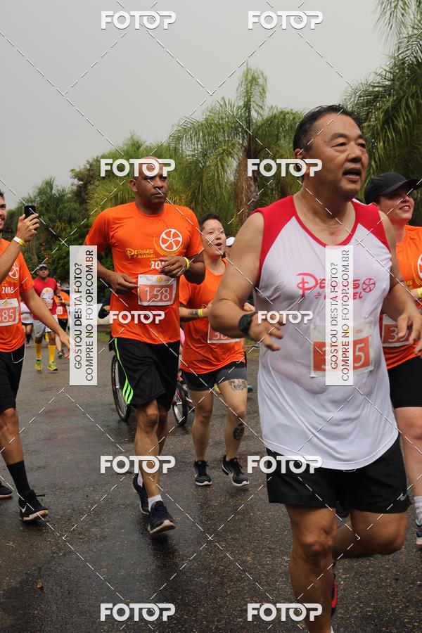Buy your photos of the event3� Corrida Pernas de Aluguel 10K on Fotop
