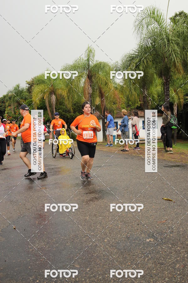 Buy your photos of the event3� Corrida Pernas de Aluguel 10K on Fotop