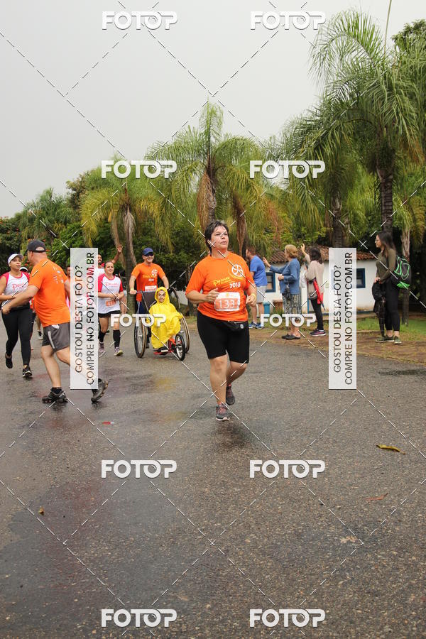 Buy your photos of the event3� Corrida Pernas de Aluguel 10K on Fotop