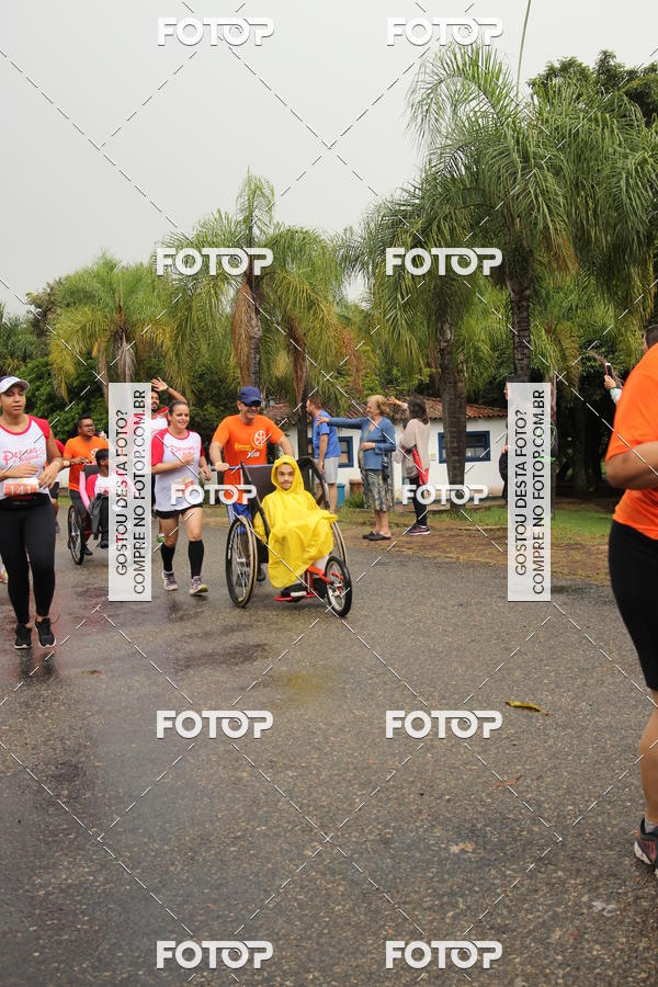 Buy your photos of the event3� Corrida Pernas de Aluguel 10K on Fotop