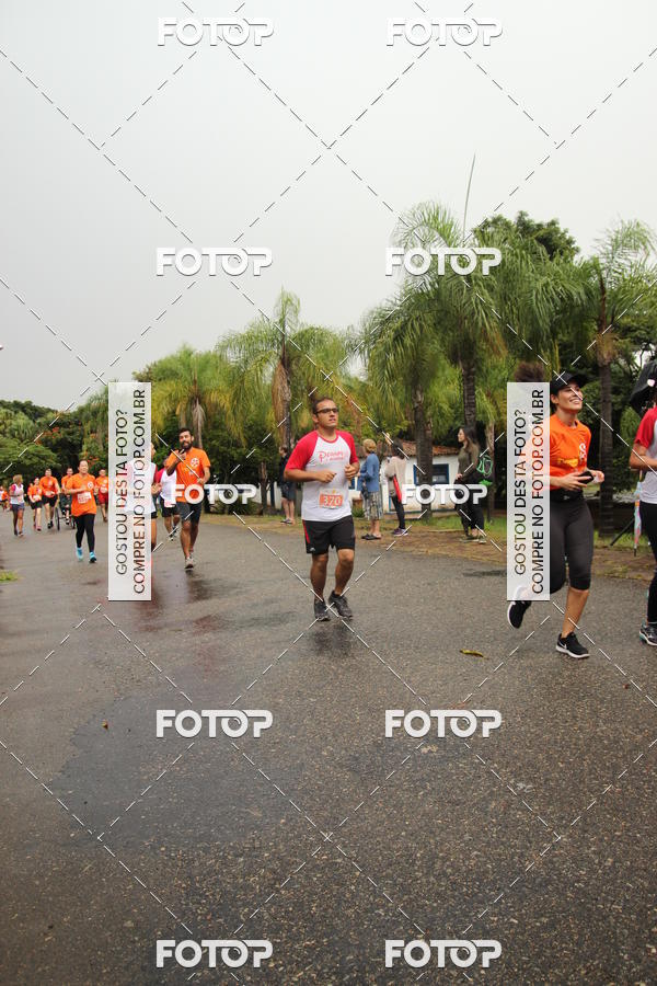 Buy your photos of the event3� Corrida Pernas de Aluguel 10K on Fotop