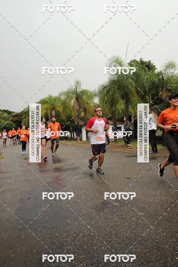 Buy your photos of the event3� Corrida Pernas de Aluguel 10K on Fotop