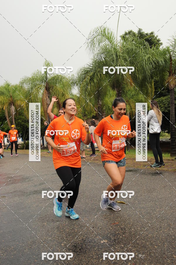 Buy your photos of the event3� Corrida Pernas de Aluguel 10K on Fotop