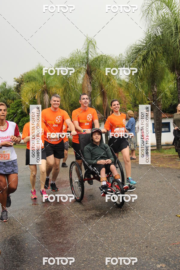 Buy your photos of the event3� Corrida Pernas de Aluguel 10K on Fotop